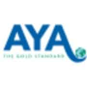 Logotipo de AIFS Foundation Academic Year in America Program
